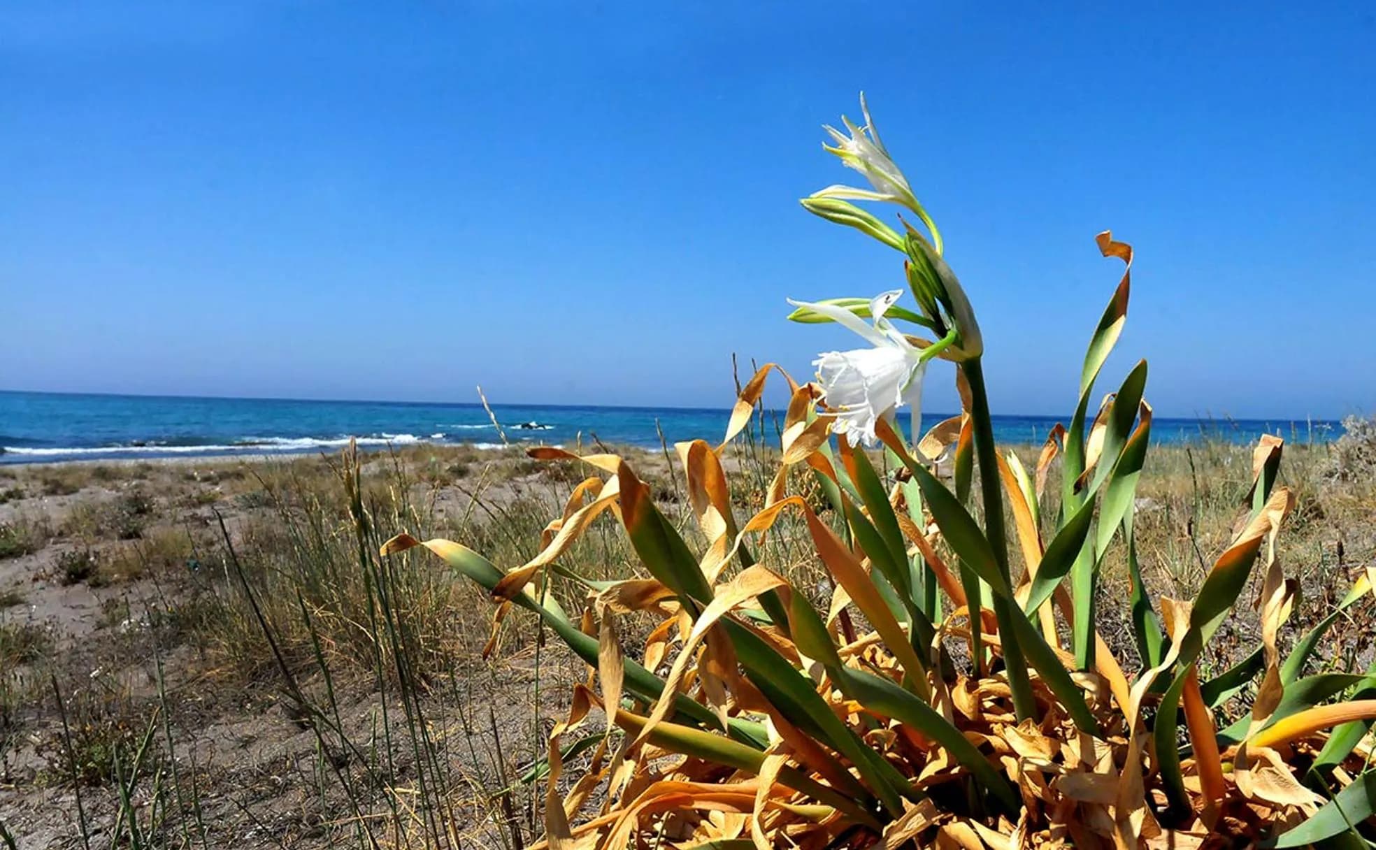 Costa de Granada